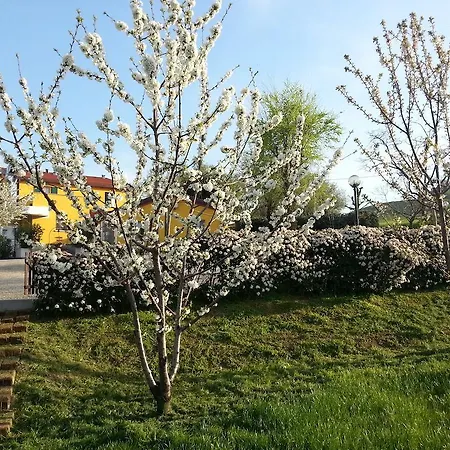 Casa de hóspedes Osteria Da Cesare E