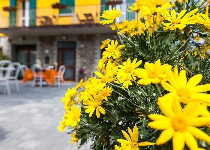 Osteria Da Cesare E Гостевой дом 4*