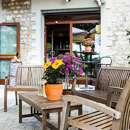 Osteria Da Cesare E Penzion Castel San Pietro Terme